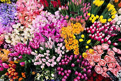 美国“编程女孩计划”宣布终止与动视暴雪的合作关系